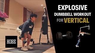 EXPLOSIVE Dumbbell Exercises to JUMP HIGHER  Vertical Jump [upl. by Ayotol]