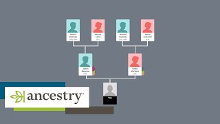 How Ancestry works  Howto  Ancestry UK [upl. by Hanleigh]