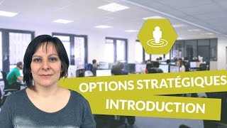 Les options stratégiques  introduction  Management  digiSchool [upl. by Llekcir215]