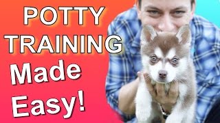 How to Potty Train your Puppy EASILY Everything you need to know [upl. by Merle]