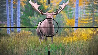 Hunting GIGANTIC Moose in Hunting Simulator 2 [upl. by Onyx]