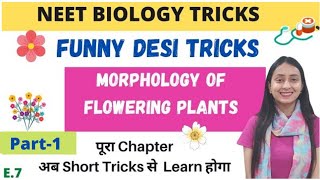 NEET BIOLOGY TRICKS Morphology of Flowering Plants  Part1 [upl. by Yecac]