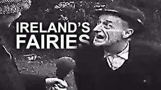 Irish People TERRIFIED of Fairies  Televised Éireann [upl. by Norehs]