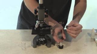 How to Use a Microscope [upl. by Susej]