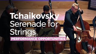 Tchaikovsky  Serenade for Strings in C major Op 48 [upl. by Nylednarb557]