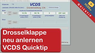 VCDS Quicktip Drosselklappe Anlernen [upl. by Wat624]