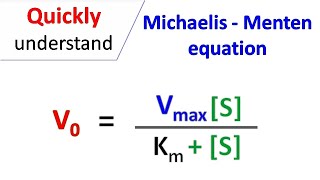 Michaelis Menten equation [upl. by Cornelle]