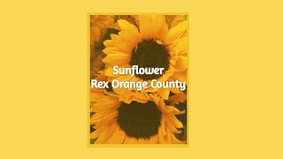 Sunflower  Rex Orange County  LYRICS [upl. by Eveam]