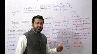 Classification of Proteins [upl. by Ky]