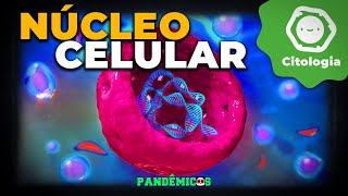 Núcleo Celular [upl. by Ecnirp]