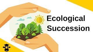 Ecological SuccessionPrimary and Secondary [upl. by Paynter468]