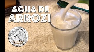 Agua de Arroz  Agua de Horchata [upl. by Accire]