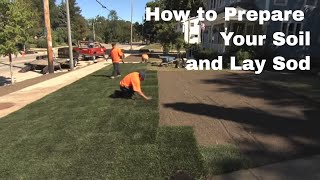 How to Prepare Your Soil and Lay Sod [upl. by Bond102]