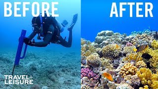 How Scientists Are Restoring The Great Barrier Reef  Travel  Leisure [upl. by Drofla590]