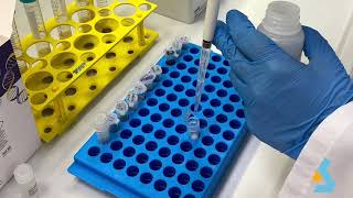 02  DNA Isolation from bacterial culture [upl. by Grimona]