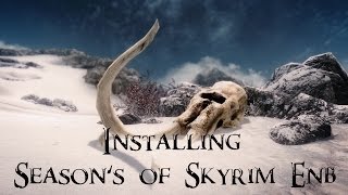 Skyrim  How to Install Seasons of Skyrim ENB Presets Detailed [upl. by Aenel133]