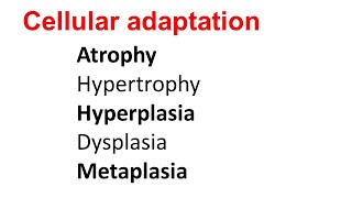 Cellular Adaptation  Atrophy Hypertrophy Hyperplasia Dysplasia Metaplasia [upl. by Retnuh671]