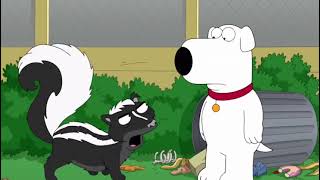 Family Guy Brian Gets Sprayed by a Skunk [upl. by Ydnarb261]