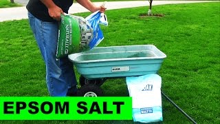 Using Milorganite to Apply Epsom Salt to your lawn [upl. by Rodablas273]