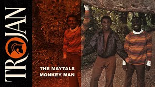 The Maytals Monkey Man official audio [upl. by Marrilee]