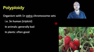 Biology Linkage and Polyploidy [upl. by Ahsielat47]