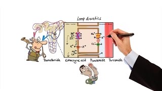 Pharmacology  DIURETICS MADE EASY [upl. by Zhang]