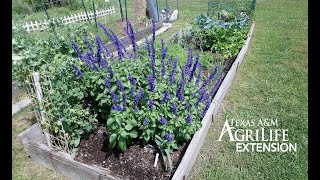 Texas Native Plants for Home and Gardens [upl. by Arbmik]