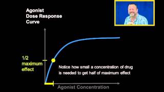 Agonist Dose Response Curves [upl. by Eyaf]