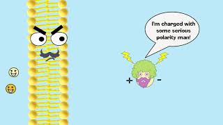 Facilitated Diffusion Explained [upl. by Rostand]