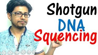 Shotgun sequencing method explained [upl. by Nikolai]