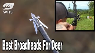 1 Broadhead For Deer Hunting [upl. by Hsotnas680]