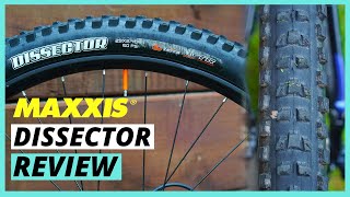 The Best Do It All Mountain Bike Tire  Maxxis Dissector Review [upl. by Gerge102]