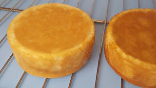 The Best Vanilla Cake Recipe [upl. by Aserehtairam]