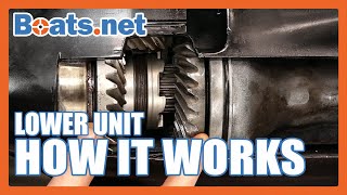 How an Outboard Lower Unit Works  How an Outboard Gearbox Works  Boatsnet [upl. by Yenaled]