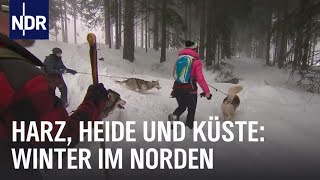 Erlebnis Winterzauber  die nordstory  NDR Doku [upl. by Eterg]