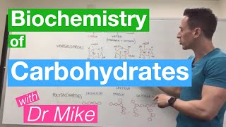 Carbohydrates  Biochemistry [upl. by Eimyaj]