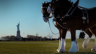 Greatest Super Bowl Commercials Ever Made  Budweiser Clydesdales 911 Tribute [upl. by Doherty950]