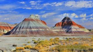 The Ancients Of The Petrified Forest  Arizona [upl. by Mae451]