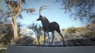 Monate Game Lodge [upl. by Atikcir]