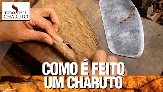 Como é feito um charuto  Tudo Sobre Charuto [upl. by Onurb]