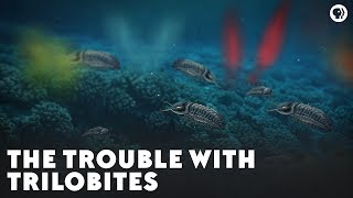 The Trouble With Trilobites [upl. by Duhl]