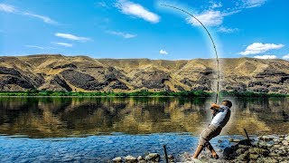 Bank Fishing for River Monsters  Columbia River Washington [upl. by Ursal321]