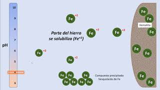 Cap103 Deficiencias nutricionales en las plantas [upl. by Yor]