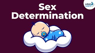 Genetics  Sex Determination  Lesson 19  Dont Memorise [upl. by Lacsap]