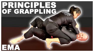 The 5 Basic Principles of Grappling for MMA [upl. by Pirri228]