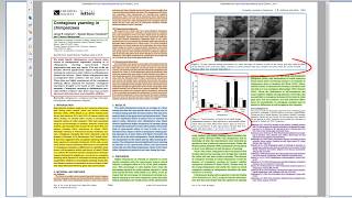 The Structure of Scientific Research Papers [upl. by Janella426]