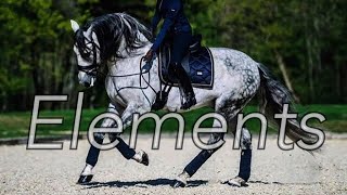 Elements  Dressage Music Video [upl. by Atkinson]