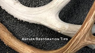 Antler Restoration Tips  Broken Tines amp Staining [upl. by Solokin]