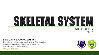 Skeletal System part 1  Introduction [upl. by Reema]