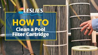 How to Clean a Pool Filter Cartridge  Leslies [upl. by Domph]